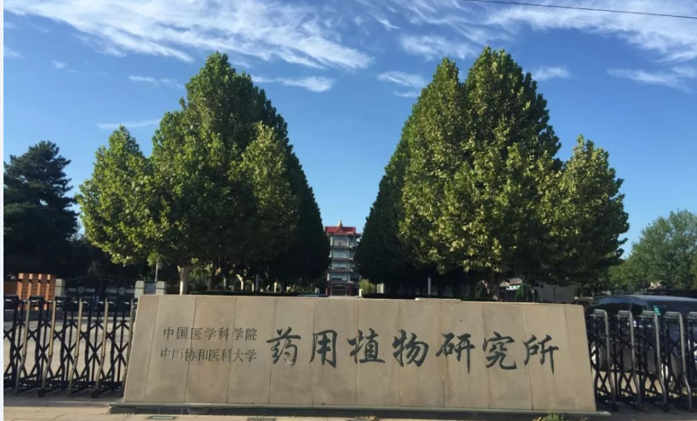 1753668613122187.png 1753668613122187.png